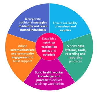 Catch up vaccination elements