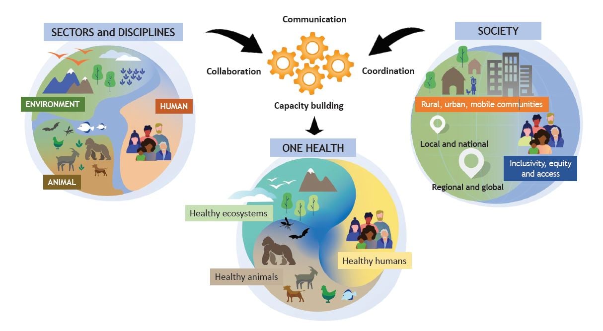 graphic definition on One Health