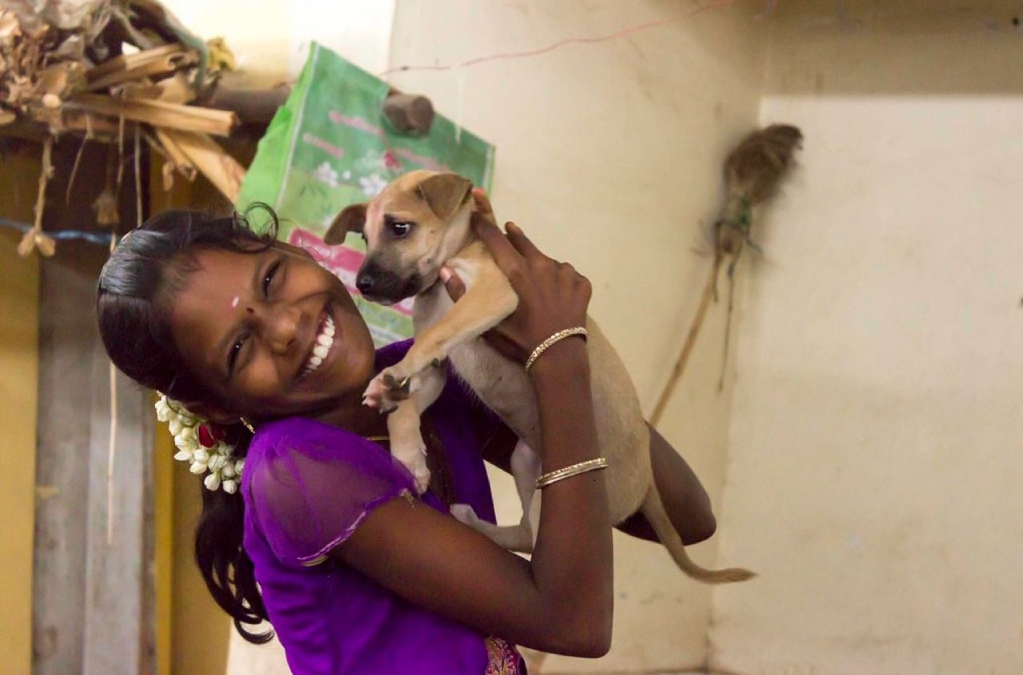 N-Gowthaman-Rabies-All-for-1-One-Health-for-all World Rabies Day 2023: All for 1, One Health for all !
