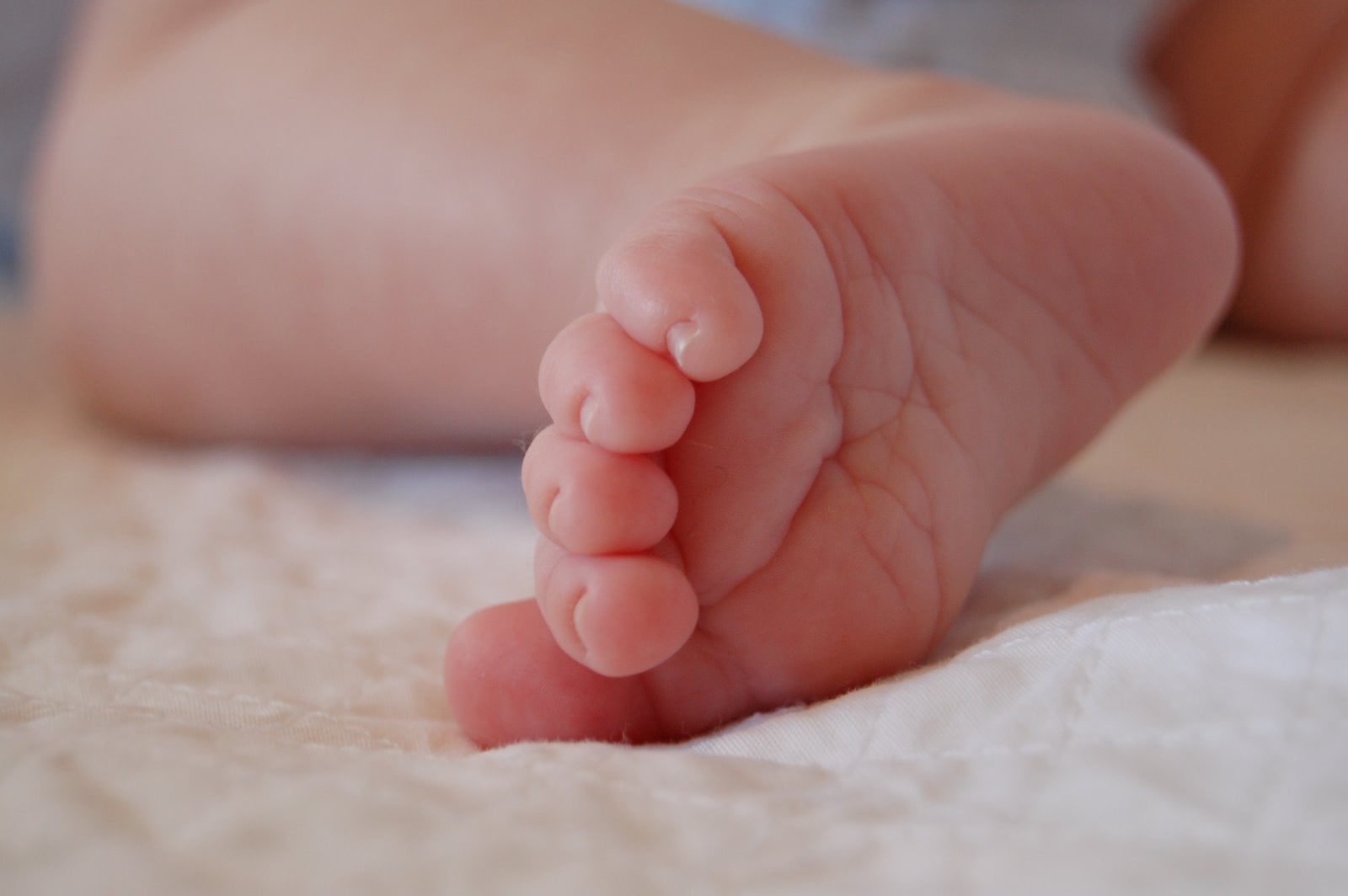 Newborn