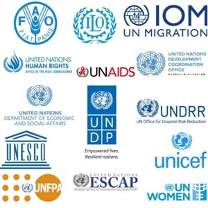 UN Partners logo