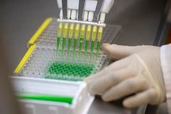 PAHO-mRNA-hub PAHO-mRNA-hub