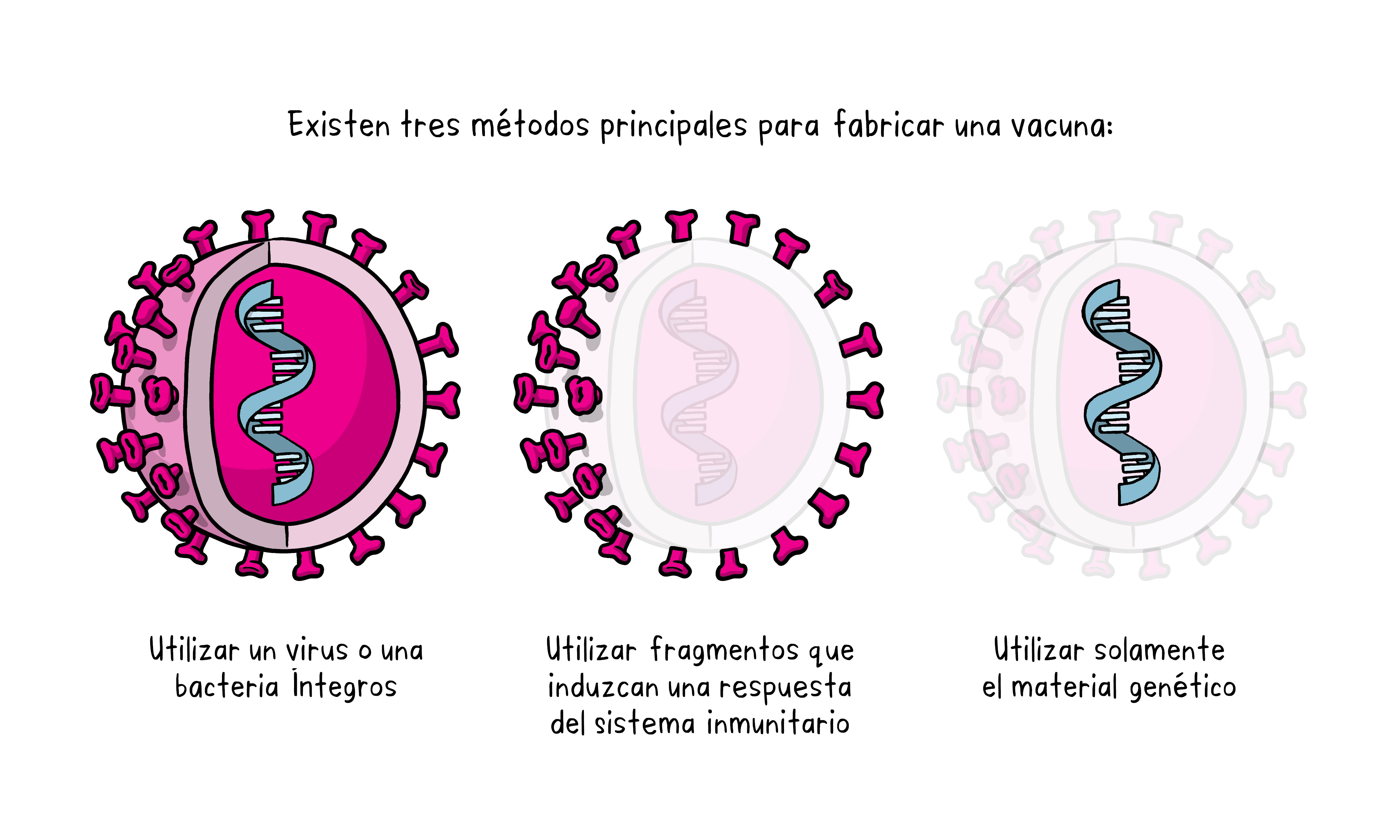 Vaccines_topic4_1_es 3 métodos principales para fabricar una vacuna
