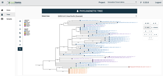 AusTrakka phylogenetic tree